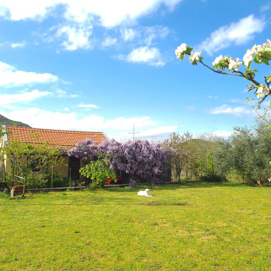 Ivan'S Holiday Home Virpazar Exterior foto